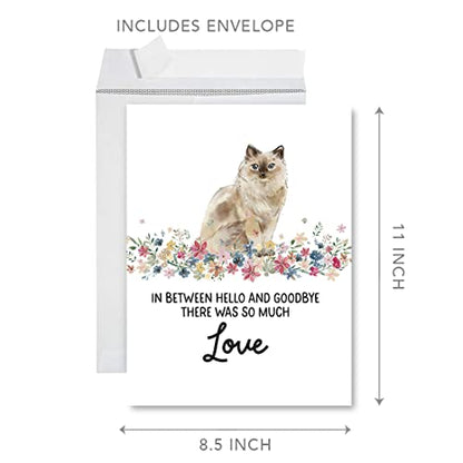 Andaz Press Jumbo Pet Sympathy Card with Envelope, Sorry For Your Loss Card, Ragdoll Cat, Loss Of Pets, Cat Grief Bereavement Card with Big Blank Space to Send to Friends, Family, 8.5" x 11", 1-Pack - color: Ragdoll Cat