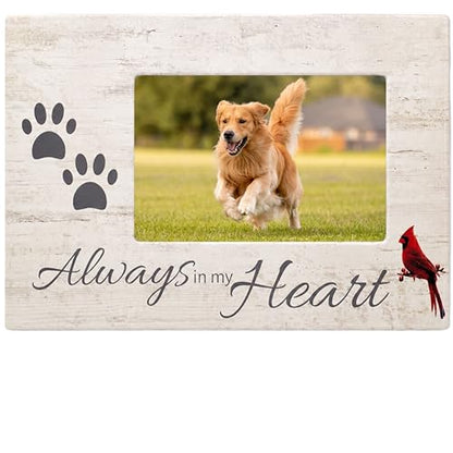 Dog Memorial Picture Frame, Always in My Heart Pet Loss Gift with Cardinal & Paw Print Design, Wood Look 4x6 Photo Frame for Dog or Cat Sympathy, Pet Remembrance Gift, Measures 10 x 7 Inches