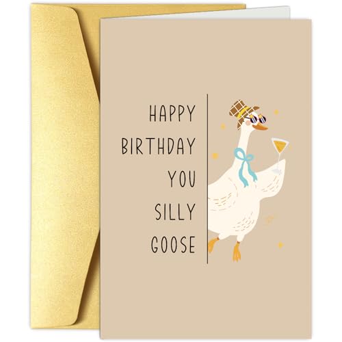 Obbyidk Funny Silly Goose Birthday Card for Him Her, Cute Goose Birthday Card for Son Daughter, Happy Bday Cards Gifts for Friend Family - color: Goose Birthday