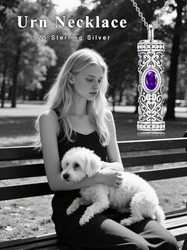 Seiyang Urn Necklace for Ashes 925 Sterling Silver Cremation Necklace with Birthstone Memorial Cremation Jewelry for Women Loved One - color: 02-February, style: Style A