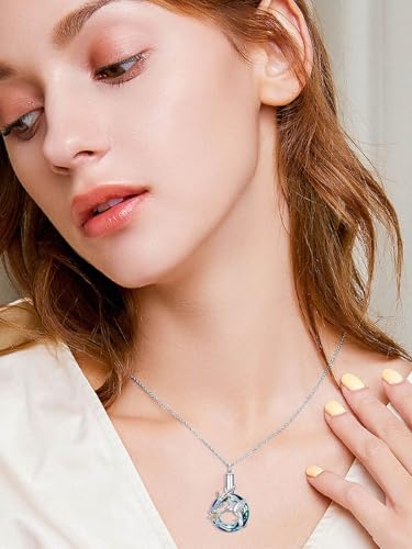 Urn Necklace for Women Sterling Silver Meaningful Memorial Jewelry | Paw Print/Butterfly/Dragonfly/Bird/Dolphin/Mountain/Tree of Life Urn Necklace for Ashes Cremation Keepsake Jewelry for Women - style: Crystal-Hummingbird