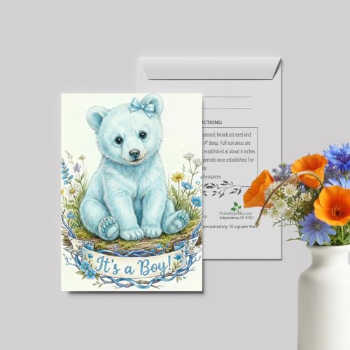Outsidepride Baby Shower Seed Packet Favors - 25 Packets - size: Option 1, style: Baby Shower