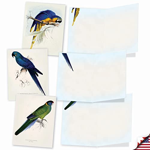 The Best Card Company - 10 Assorted Blank Notecards Bulk Box Set 4 x 5.12 Inch with Envelopes (10 Designs, 1 Each) - Birds of a Feather M6034 - style: Birds of a Feather