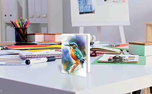 Better Office Products 50-Pack All Occasion Greeting Cards Box Set, 4 x 6 inch, 50 Assorted Blank Note Cards & 50 Envelopes, 6 Butterfly & Birds Designs, Blank Inside, 50 Pack