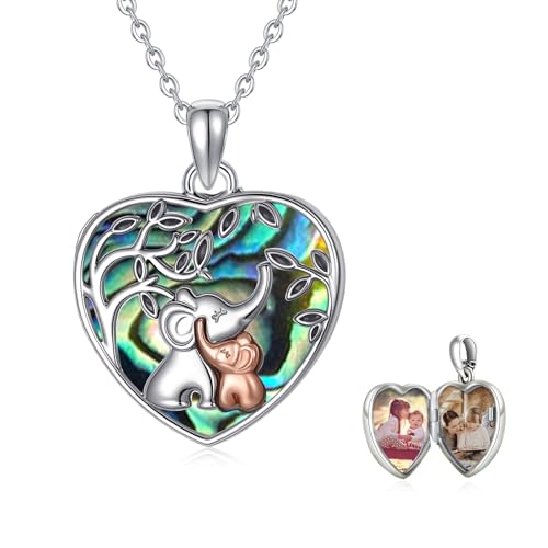 TUGHRA Locket Necklaces That Holds Picture Sterling Silver Elephant Locket Heart Pendant Necklace Photos Jewelry Gifts for Women Teen Mom Daughter - style: 04-Abalone