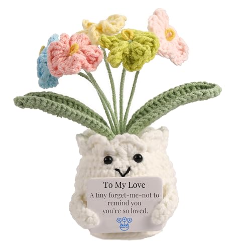 Forget-Me-Not Crochet Gifts for Him Her Boyfriend Girlfriend Birthday to My Love Handmade Valentines Day Flower Plant Gift for Women Men Romantic I Love You Gift for Couples Wife Husband - color: E-to My Love