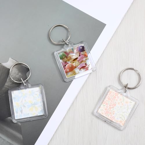 10PCS Acrylic Photo Keychain Blanks,Clear Blank Keychains Picture Frame Keychain Holder DIY Set for Bags Car Purses