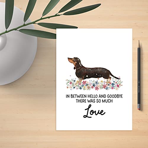 Andaz Press Jumbo Pet Sympathy Card with Envelope, Sorry For Your Loss Card, Dachshund, Loss Of Pets, Dog Grief Bereavement Card with Big Blank Space to Send to Friends, Family, 8.5" x 11", 1-Pack - color: Dachshund
