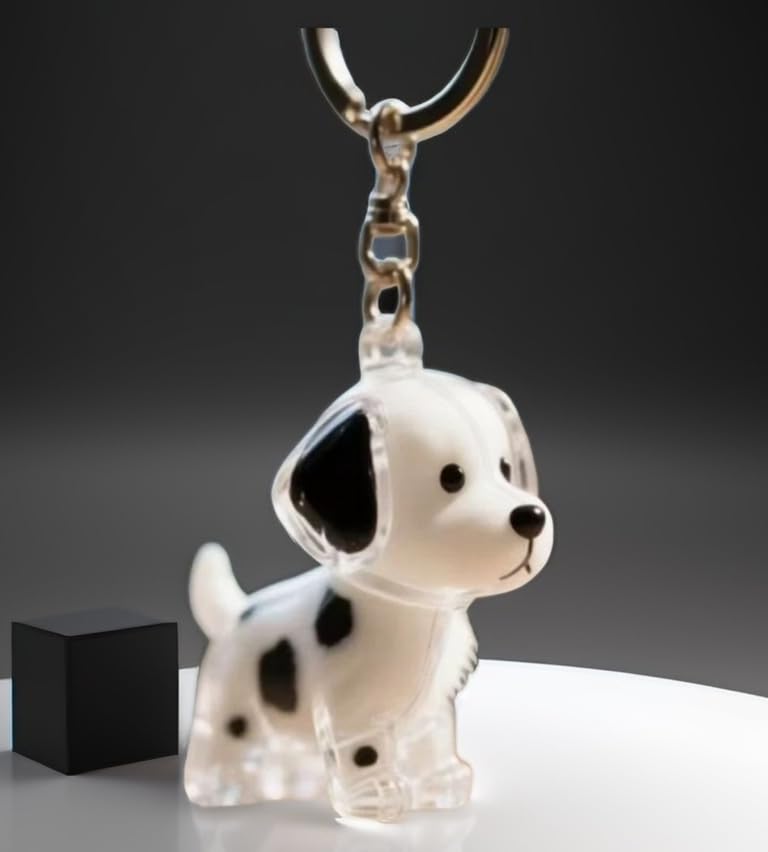 EPMANN 4Pcs Dog Hair Collector Keychain Charm Memorial Storage Box, Transparent Bottle for Pet Hairs Keychain - style: B