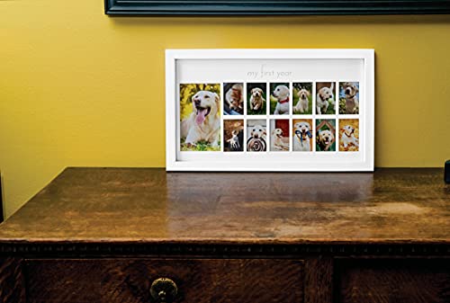Green Pollywog My First Year Dog Picture Frame, 12-Month - size: Dog First Year Frame - White