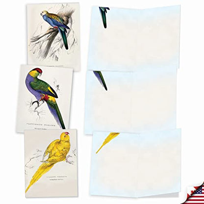 The Best Card Company - 10 Assorted Blank Notecards Bulk Box Set 4 x 5.12 Inch with Envelopes (10 Designs, 1 Each) - Birds of a Feather M6034 - style: Birds of a Feather