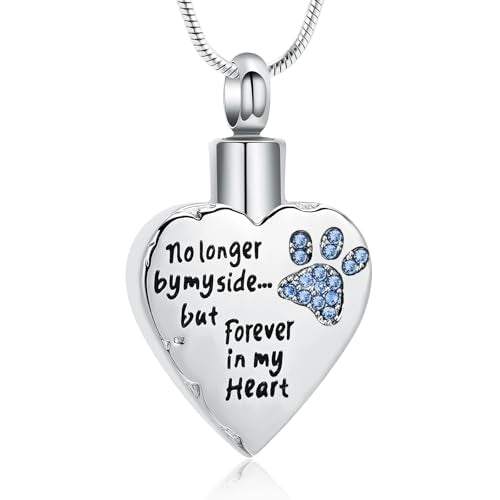 memorial jewelry No Longer by My Side,But Forever in My Heart Carved Locket Cremation Urn Necklace for Pet Dog Cats - color: Light Blue