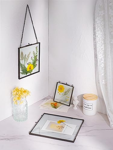 REDHUGO Glass Pressed Flower Frames, Square, Black, 4x4 Inches - color: Black, size: 4L" x 4W"