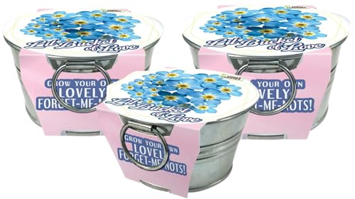 Grow Your Own Forget-Me-Not Plant Seeds 3-Pack, DIY Indoor Succulents and Live Plants for Home or Garden Planting, Lil Bucket of Love - color: Lil Bucket of Love 3-PK