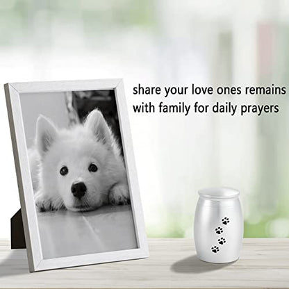 Small Urns for Pet Ashes,Silver Mini Urn for Dog/Cats Ashes - color: Silver