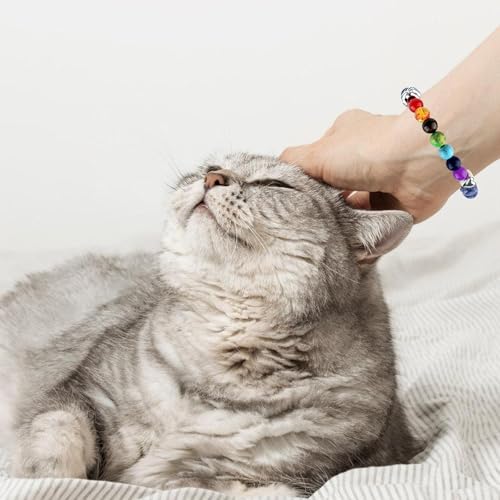 Pet Memorial Gifts,Rainbow Bridge Bracelet for Beloved Pets,Cat Memorial Gifts for Loss of Cat, Dog Passing Away Remembrance Sympathy Gift