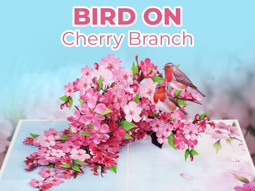 iGifts And Cards Cherry Blossom 3D Pop-Up Card – In Full Bloom 6"x8" | Robins, Pink Flowers, Nature-Inspired Greeting, Mother, Friend, Daughter, Spring Keepsake, Thinking of You Memento, Notecard - color: Cherry Blossom Robins