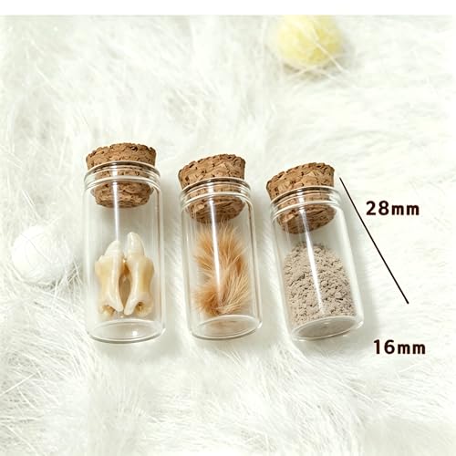 Pet Memorial Keepsake for Loss of Dog or Cat, Wooden Pet Ashes Box with 3 Glass Vials, Pet Remembrance Gift for Hair, Ashes, Teeth – Pet Loss Sympathy Gifts