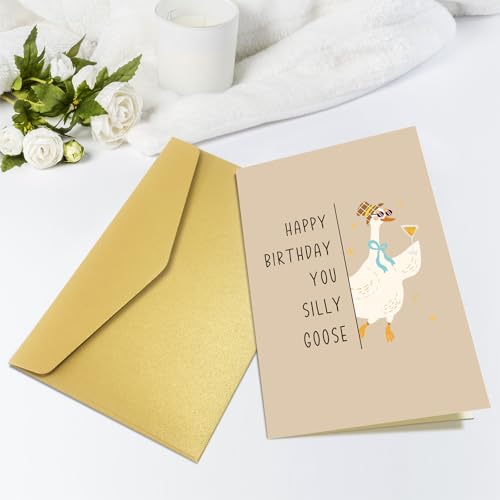 Obbyidk Funny Silly Goose Birthday Card for Him Her, Cute Goose Birthday Card for Son Daughter, Happy Bday Cards Gifts for Friend Family - color: Goose Birthday