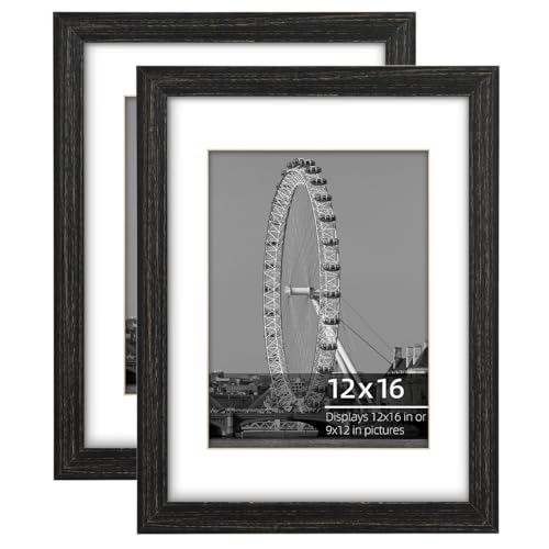 12x16 inch or 9x12 with Mat Poster Picture Frame Set, Wire Brush Distressed Black Wood Border, Wall Mount Vertically or Horizontally, Safe Plexi Glass, 2 Pack - color: Rustic Black, size: 12 x 16 in 2pk