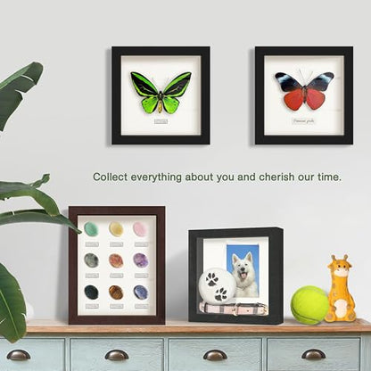 FrameWorks 8x10 Driftwood Wooden Shadow Box Frame – Soft Felt Back, Tempered Glass, and Included Elegant White Ball Push Pins - color: Black Driftwood, size: 8"x10"