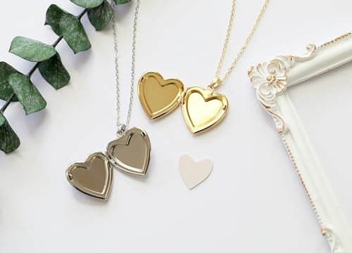 Handmade Heart Shaped Dried Pressed Forget Me Not Flower Photo Locket Pendant Necklace - color: Silver, style: YELLOW+DG