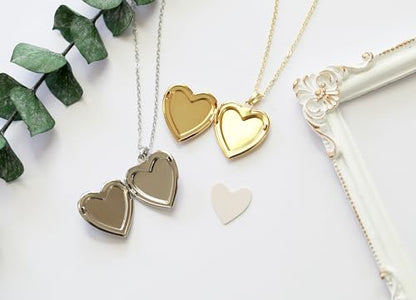 Handmade Heart Shaped Dried Pressed Forget Me Not Flower Photo Locket Pendant Necklace - color: Silver, style: YELLOW+DG