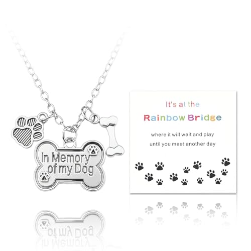 YangQian Sympathy Gift for Pet Owner Pet Memory Gifts for Dogs Cats Bereavement Gifts Paw Print Necklace Grieving Cat Dog Loss Gift - color: Dog Heaven Necklace