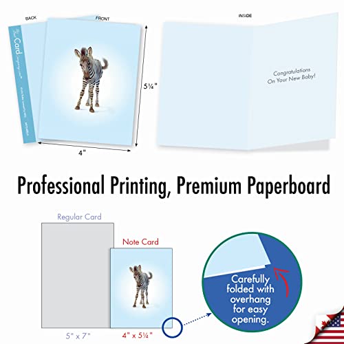 The Best Card Company 20 Assorted Baby Notecards Box Set 4 x 5.12 Inch with Envelopes (10 Designs, 2 Each) Zoo little ones AM6726BBG-B2x10 - style: Zoo Babies Baby
