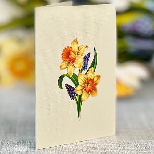 Freshcut Paper Pop Up Cards, Mini English Daffodils, 6 Inch Mini Sized Forever Flower Bouquet 3D Popup Greeting Cards, Birthday Cards, Get Well Gifts, Blank Notecard & Envelope (Pack of 3) - color: English Daffodils, size: Mini (Pack of 3)