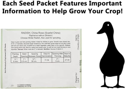 Set of 50 Forget Me Not Valley Green Flower Seed Packets! Flower Seeds in Bulk - Forget Me Nots - color: Forget Me Not