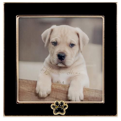 4x4 Black Enamel on Gold Metal Frame - Dog Paw Print - color: Black