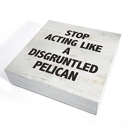 Stop Acting Like a Disgruntled Pelican Greek Quote Wood Box Sign - color: STOP