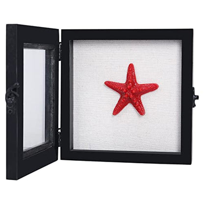 6x6 Small Shadow Box Frame with Glass, Hinged Door, Solid Wood, Black