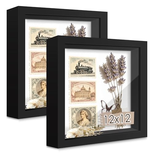 12x12 Black Wooden Shadow Box Frame, Tempered Glass, 2 Pack | Black Backboard, Tabletop & Vertical/Horizontal Wall Display, Memorabilia Display, Wedding/Baby Keepsakes & Crafts - color: Black, size: 12x12-2P