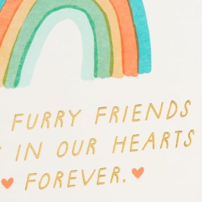 Hallmark Pet Sympathy Cards, Assorted 16-Pack (Hearts and Rainbows)