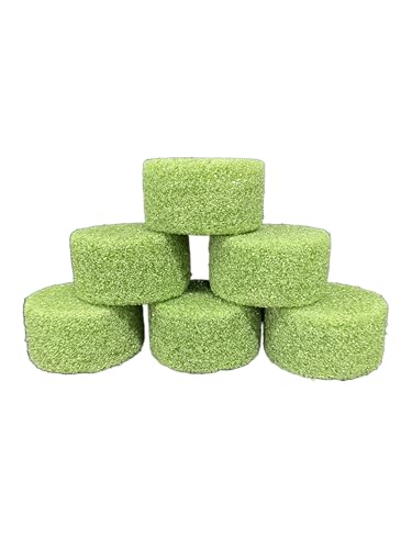 Green Foam Disc 3 1/2 Inches X 2 Inches for Floral Decor for vases, Cemetery cans, etc. (6)
