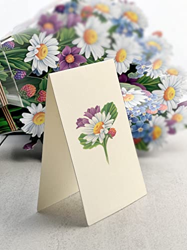 Freshcut Paper Pop Up Cards, Field of Daisies, 12 Inch Life Sized Forever Flower Bouquet 3D Popup Greeting Card, Birthday Cards, Get Well Gifts, Blank Notecard & Envelope - color: Field of Daisies New, size: Classic