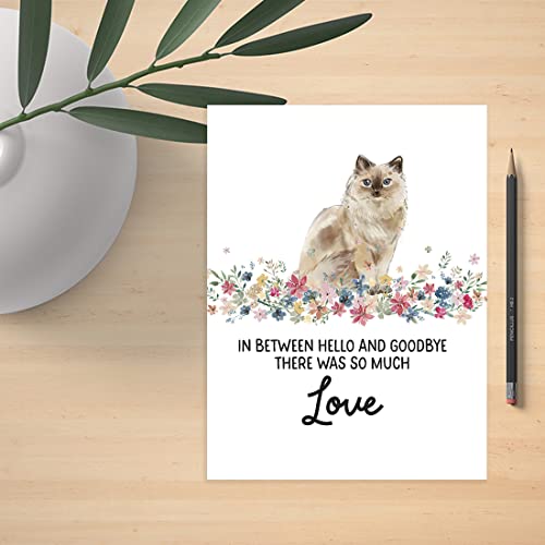 Andaz Press Jumbo Pet Sympathy Card with Envelope, Sorry For Your Loss Card, Ragdoll Cat, Loss Of Pets, Cat Grief Bereavement Card with Big Blank Space to Send to Friends, Family, 8.5" x 11", 1-Pack - color: Ragdoll Cat