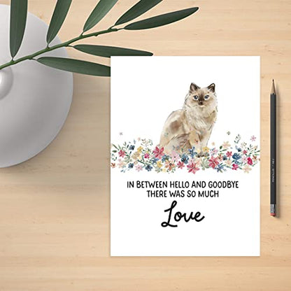 Andaz Press Jumbo Pet Sympathy Card with Envelope, Sorry For Your Loss Card, Ragdoll Cat, Loss Of Pets, Cat Grief Bereavement Card with Big Blank Space to Send to Friends, Family, 8.5" x 11", 1-Pack - color: Ragdoll Cat