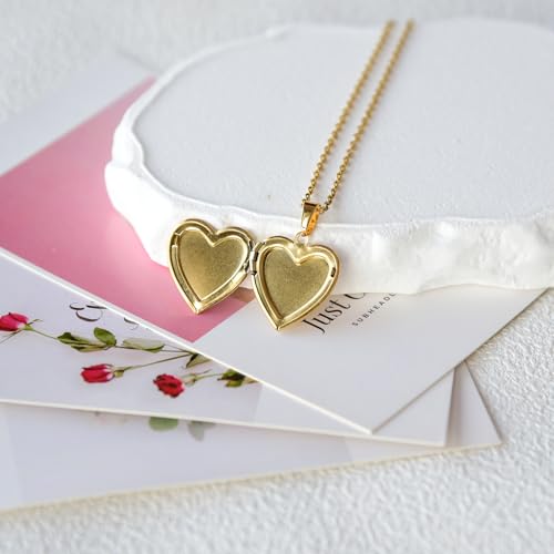 Heart Locket Necklace That Holds Pictures Pressed Flower Photo Locket Pendant Necklace for Girl Women Gift for Her - style: Gold-Blue Forget me not