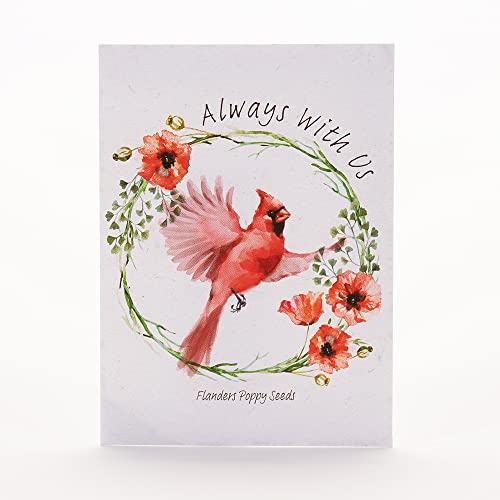 Bentley Seed Co. | Memorial Cardinal Celebration of Life Funeral Favors for Guests | Non-GMO, Non-Coated Flanders Poppy Seed Packets | Sentimental Funeral Service Gift | Pack of 25 - style: Always With Us