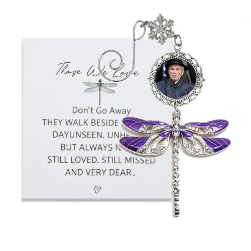 Dragonfly Gifts for Women Memorial Sympathy Gifts for Loss of Loved One DIY Frame Family In Loving Memory for Bereavement (silver dragonfly) - color: silver dragonfly