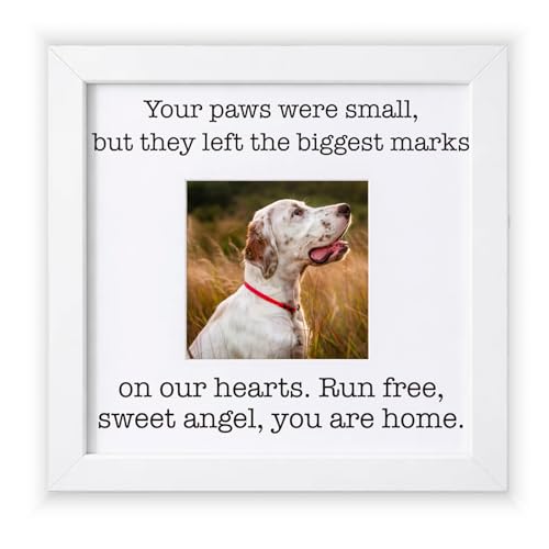 THYGIFTREE Dog Memorial Picture Frame - Pet Loss Gifts for Dog Lovers - Paw Print Sympathy Gift - Run Free Rainbow Bridge Decor - Sentimental Small Paws Keepsake for Bereavement - Remembrance Tribute