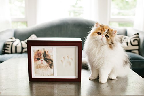 Pearhead Pet Memory Box & Urn - Solid Wood, Espresso Finish, Collars - color: Espresso