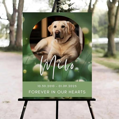 Celebration of Life Welcome Sign, Editable Pet Funeral Welcome Sign, in Loving Memory Sign, Celebration of Life Funeral Sign, Celebration of Life Sign, Funeral Photo Sign #Ki12 - color: Version #26