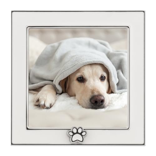 4x4 White Enamel on Silver Frame - Paw Print Ornament - color: Silver