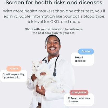 Basepaws Cat DNA Test Kit, Breed, Health & Dental Insights (Pack of 2) - size: 2 Count (Pack of 1)