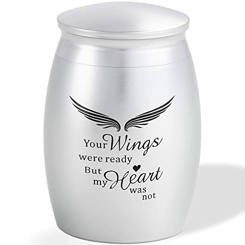 Small Urns for Human Ashes - Share Urn with Family & Friends | 2.7 Inches Silver Mini Urns for Human Ashe - Small Memorial Token Urn – A Perfect Tribute & Gift for Families - size: Small