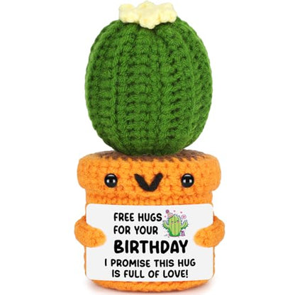 Agantree art Unique Birthday for Women Men Sister Friends Coworker Boss Happy Birthday Free Hug Cactus Decoration for Her Him Son Daughter Wife Husband, 20 30 40 50th Present for Mom Dad Grandma - style: Birthday